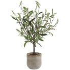 Solea Olive Accent and Textured Vase by Uttermost