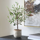 Solea Olive Accent and Textured Vase by Uttermost