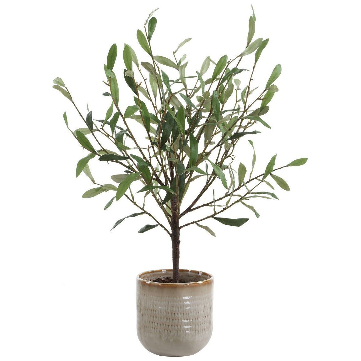 Solea Olive Accent and Textured Vase by Uttermost