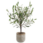 Solea Olive Accent and Textured Vase by Uttermost