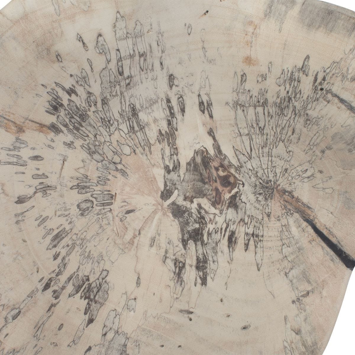 Teo Bleached Wood Wall Decor - Set of 3 by Uttermost