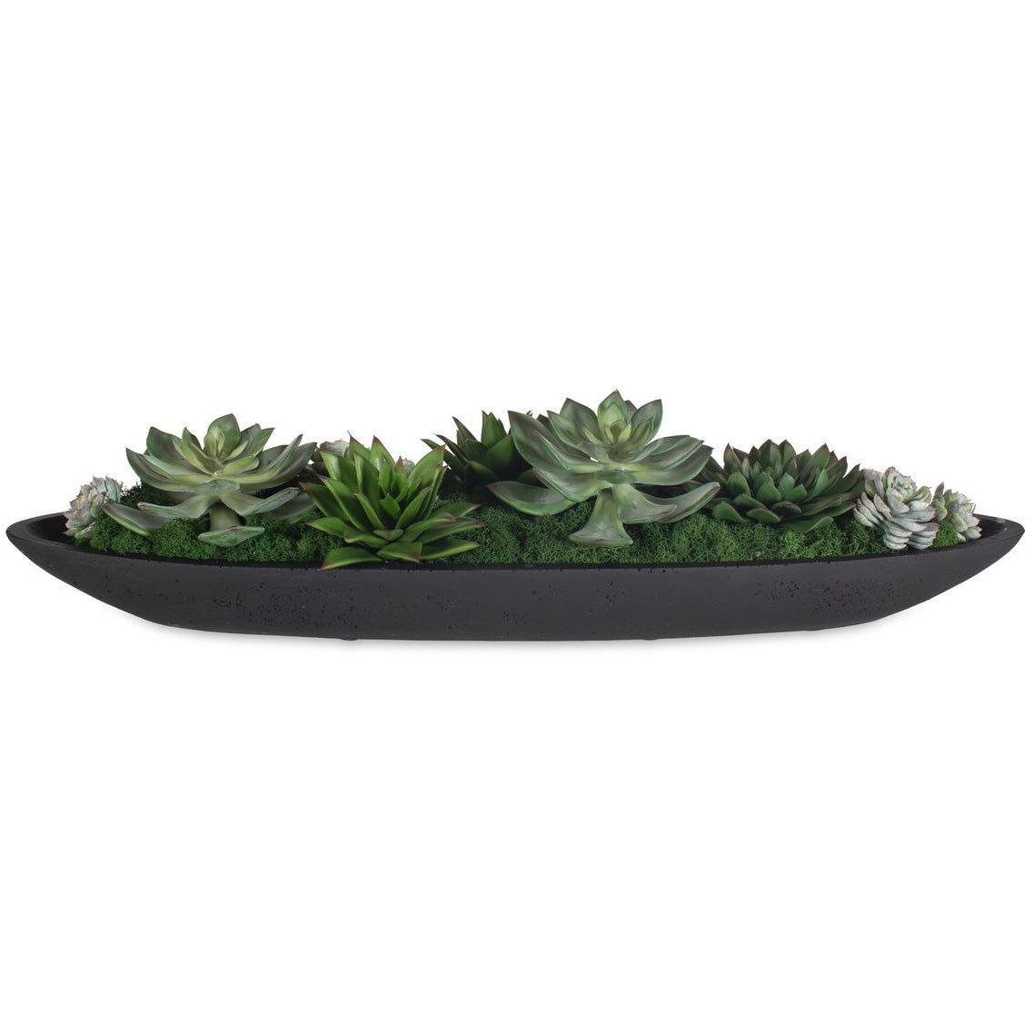 Verde Succulent Centerpiece In Bowl by Uttermost