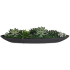 Verde Succulent Centerpiece In Bowl by Uttermost