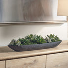 Verde Succulent Centerpiece In Bowl by Uttermost