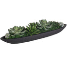 Verde Succulent Centerpiece In Bowl by Uttermost