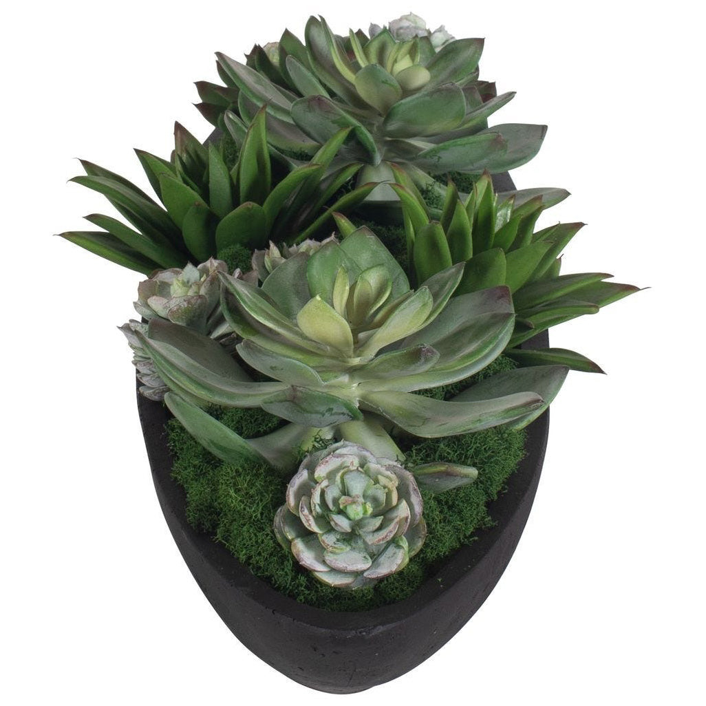 Verde Succulent Centerpiece In Bowl by Uttermost