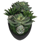 Verde Succulent Centerpiece In Bowl by Uttermost