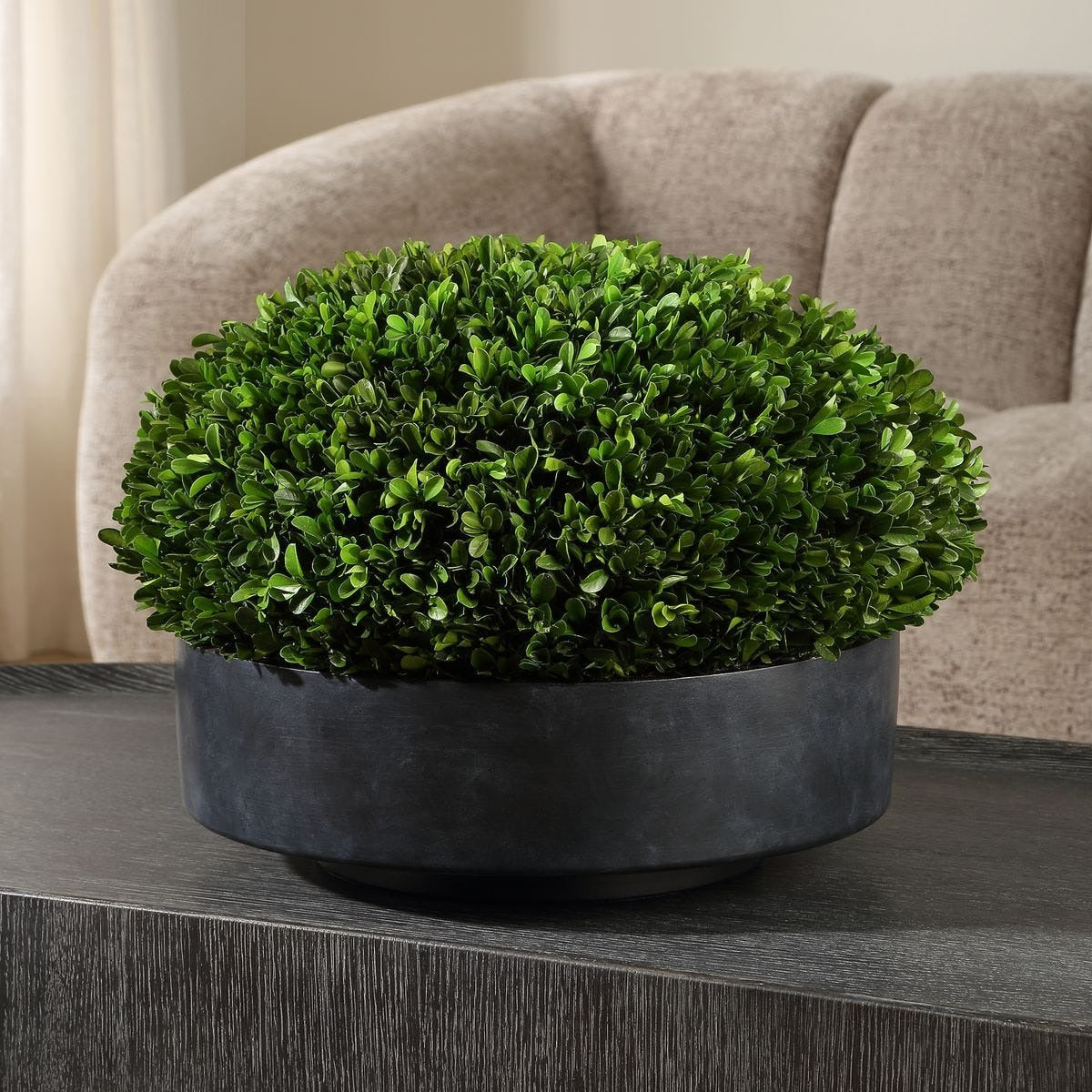Verdana Boxwood Centerpiece In Bowl by Uttermost