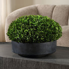 Verdana Boxwood Centerpiece In Bowl by Uttermost